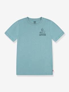 Jongens-T-shirt, poloshirt, souspull-Grafisch jongensshirt Levi's®