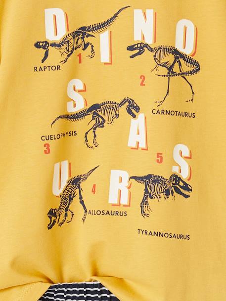 Lot de 2 pyjashorts garçon dinosaure marine - vertbaudet enfant 