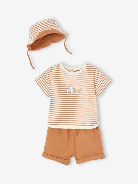 3-delige babyset: T-shirt, short en bijpassend hoedje cappuccino - vertbaudet enfant 
