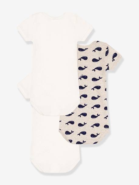 Set van 3 rompertjes met korte mouwen en walvisprint PETIT BATEAU wit - vertbaudet enfant 