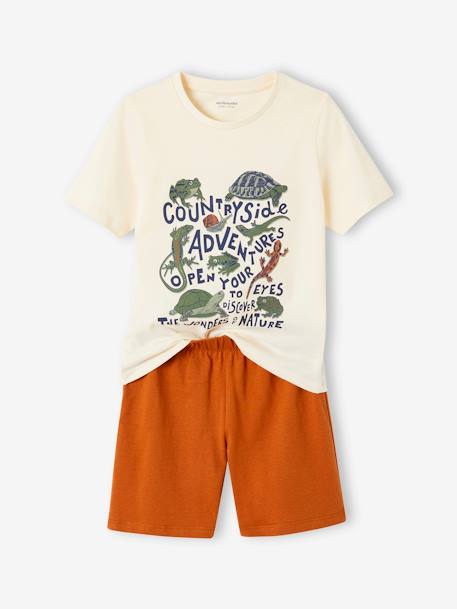 Set van 2 pyjashorts voor jongens hazelnoot - vertbaudet enfant 