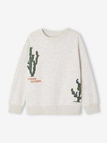 Jongenssweater met cactusmotief gemêleerd beige - vertbaudet enfant 