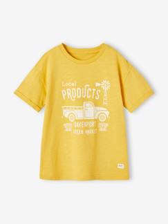 Jongens-T-shirt, poloshirt, souspull-Jongensshirt met vintage motief en korte mouwen met rolrand