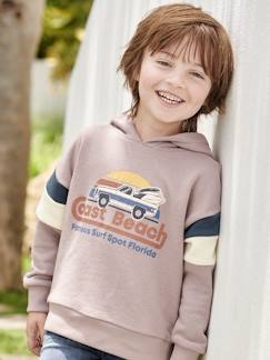 Grafische hoodie met colorblock mouwen voor jongens  - vertbaudet enfant