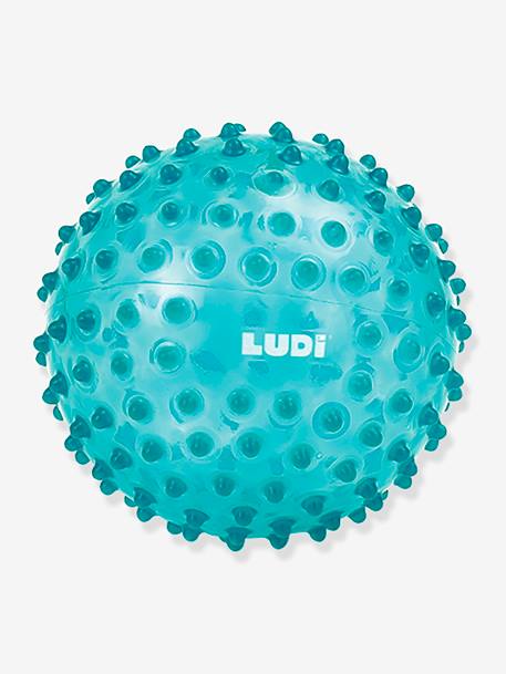 Activiteitenbal - LUDI blauw - vertbaudet enfant 