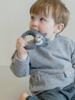 Jouet-Premier âge-Jouets de bain-Anneau de dentition -