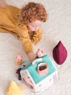 Speelgoed-Eerste levensjaren-Huis van de wolf en de 3 biggetjes LILLIPUTIENS 