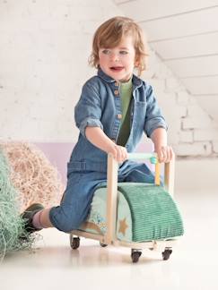 Speelgoed-Eerste levensjaren-Schommelspeelgoed, loopwagens, loopstoelen en loopauto's-LILLIPUTIENS-drager 