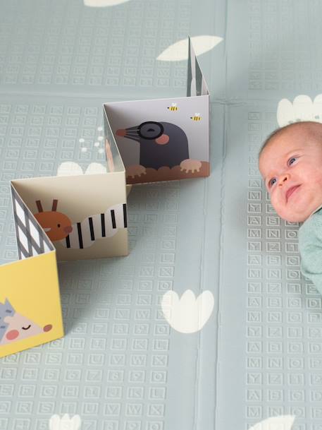 Tapis Mousse - BEIGE CLAIR UNI AVEC DECOR+GRIS CLAIR UNI AVEC DECOR - vertbaudet enfant 