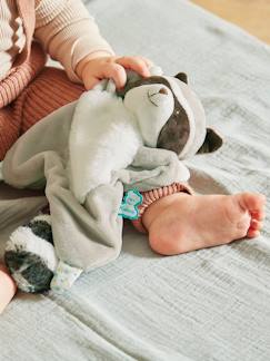 Jouet-Premier âge-Doudou raton Gaston -