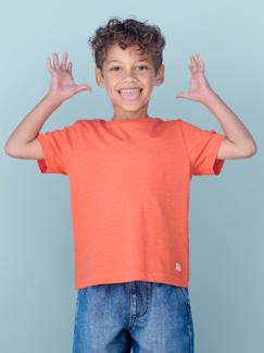 Personaliseerbare gekleurd jongensshirt met korte mouwen  - vertbaudet enfant