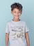 Tee-shirt Basics motifs animaliers garçon gris chiné - vertbaudet enfant 