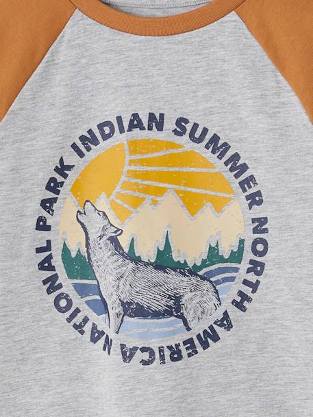 T-shirt motif graphique garçon manches raglan blanc chiné+gris chiné+kaki+lichen+noix de pécan - vertbaudet enfant 