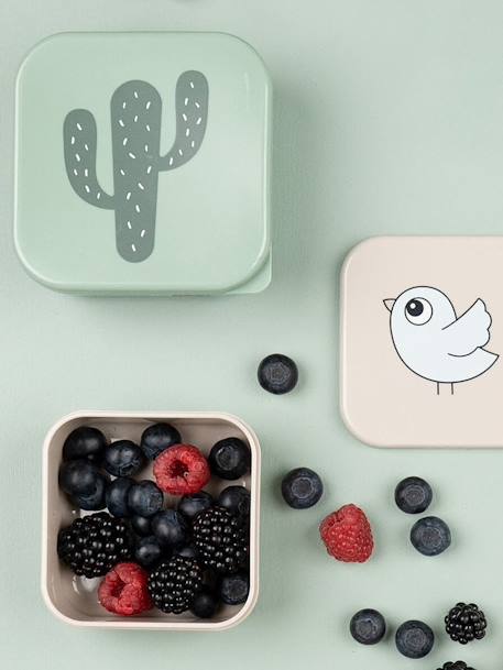 Lot de 3 boîtes Deer Friends rose nude+sable+vert - vertbaudet enfant 