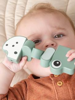 Jouet-Premier âge-Jouet d'éveil bois Croco