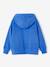 Sweat zippé à capuche lettres appliquées garçon bleu azur - vertbaudet enfant 