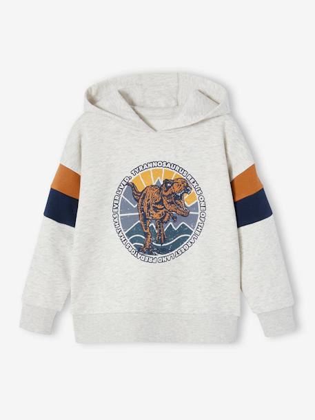 Garçon-Sweat à capuche motif grahique garçon manches colorblock