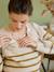 Pull style marinière grossesse et allaitement ouvertures raglan beige chiné+marine - vertbaudet enfant 