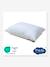 Oreiller moelleux anti-acariens blanc - vertbaudet enfant 