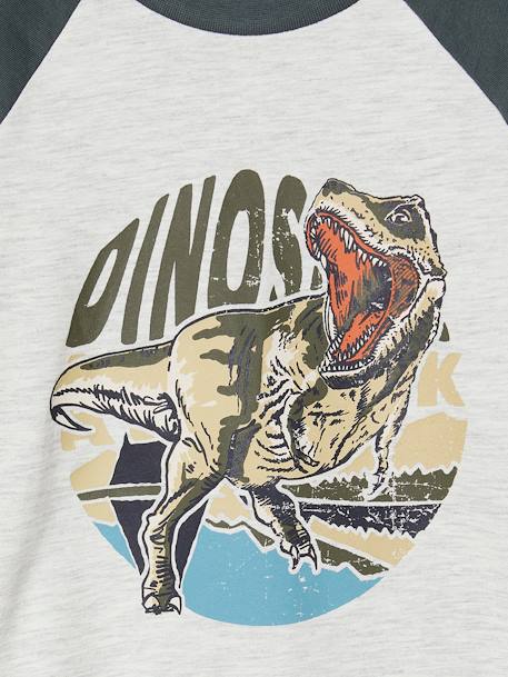 T-shirt motif graphique garçon manches raglan blanc chiné+gris chiné+kaki+lichen+noix de pécan - vertbaudet enfant 