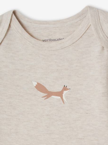 Lot 5 bodies manches longues bébé emmanchure US en coton bio beige chiné - vertbaudet enfant 