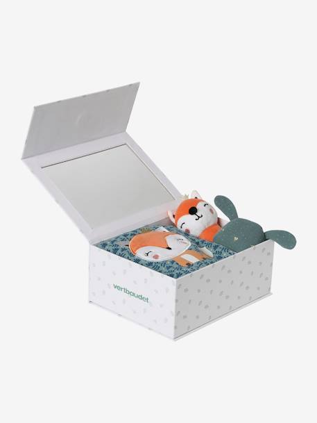 Geschenkdoos met 3 stuks:  knuffeldoek + rammelaar + prentenboek betoverd bos+groen - vertbaudet enfant 