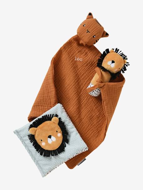 Geschenkdoos met 3 stuks:  knuffeldoek + rammelaar + prentenboek betoverd bos+groen - vertbaudet enfant 