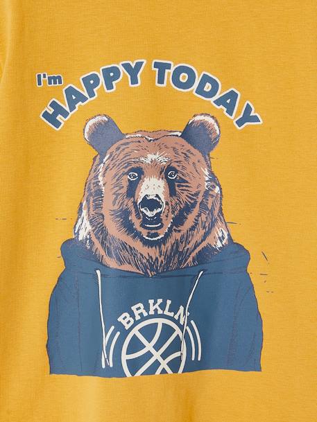 T-shirt imprimé garçon anthracite+blanc chiné+bleu canard+jaune+noix de pécan - vertbaudet enfant 