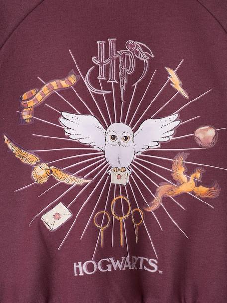 Sweat Harry Potter fille motif Hedwige avec détails glitter prune - vertbaudet enfant 
