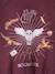Sweat Harry Potter fille motif Hedwige avec détails glitter prune - vertbaudet enfant 