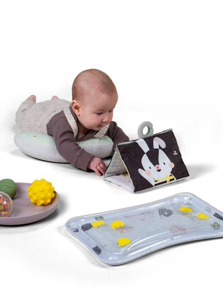 Babyset voor spelen op de buik - TAFT TOYS meerkleurig - vertbaudet enfant 