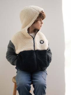 Garçon-Pull, gilet, sweat-Sweat garçon zippé à capuche en sherpa coloblock 