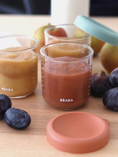 Doos met 6 inmaakpotten 250 ml BEABA meerkleurig - vertbaudet enfant 