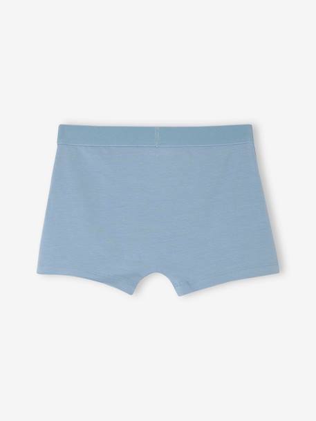 Set van 5 stretch boxershorts voor jongens hemelsblauw - vertbaudet enfant 