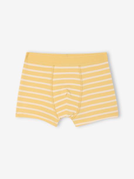 Set van 5 stretch boxershorts voor jongens hemelsblauw - vertbaudet enfant 