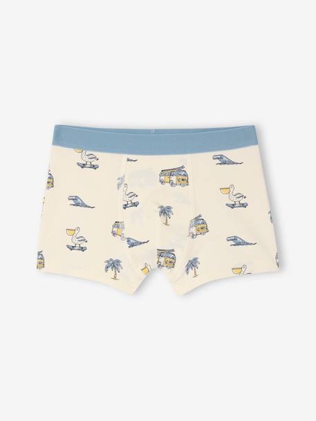 Set van 5 stretch boxershorts voor jongens hemelsblauw - vertbaudet enfant 