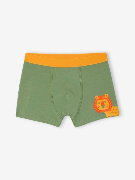 Set van 5 stretch boxershorts voor jongens Jungle groen - vertbaudet enfant 