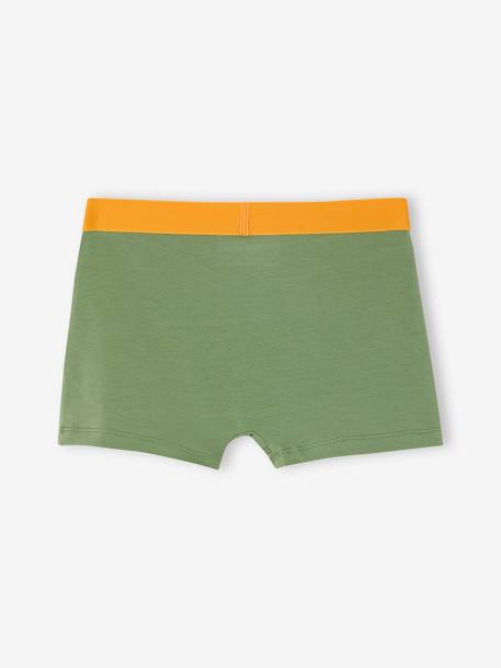 Set van 5 stretch boxershorts voor jongens Jungle groen - vertbaudet enfant 