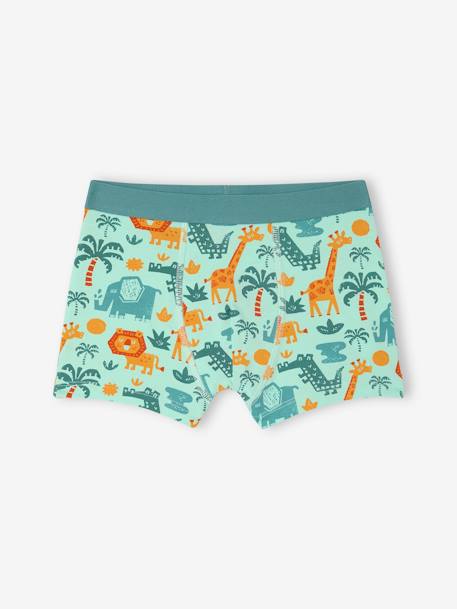 Set van 5 stretch boxershorts voor jongens Jungle groen - vertbaudet enfant 
