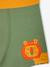 Lot de 5 boxers stretch Jungle garçon vert - vertbaudet enfant 