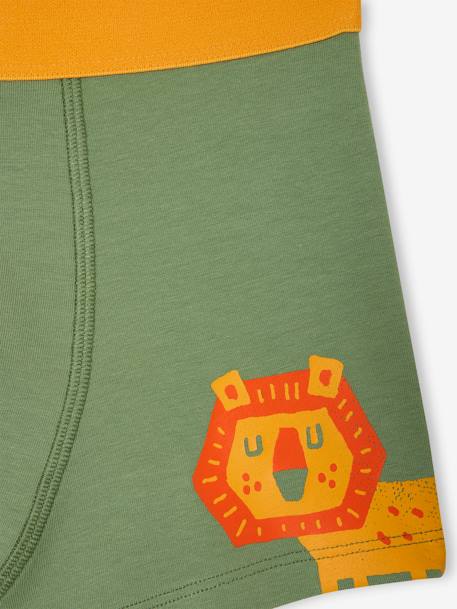 Set van 5 stretch boxershorts voor jongens Jungle groen - vertbaudet enfant 