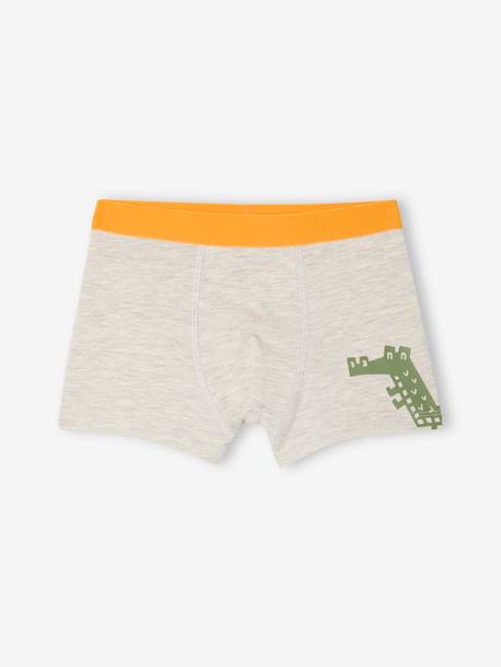 Set van 5 stretch boxershorts voor jongens Jungle groen - vertbaudet enfant 