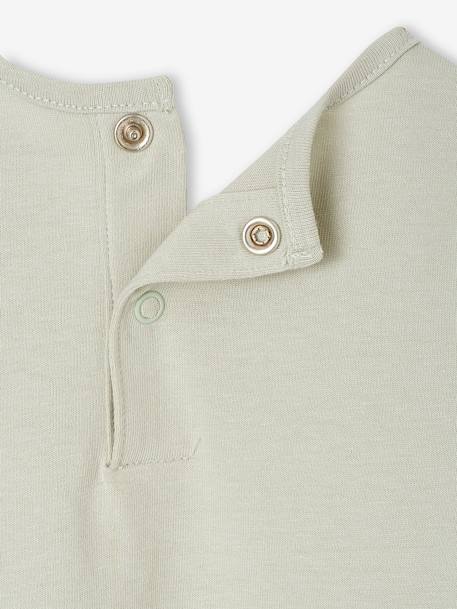 Set van 2 Basics babyshirts met lange mouwen saliegroen - vertbaudet enfant 