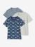Lot de 3 t-shirts 'Baleine' garçon manches courtes bleu océan - vertbaudet enfant 