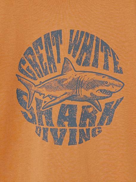 Set van 3 geassorteerde jongens-T-shirts met korte mouwen gemêleerd wit+pecannoot - vertbaudet enfant 