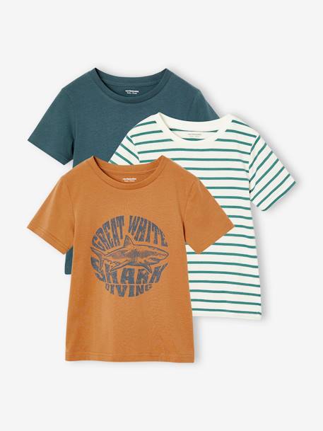 Set van 3 geassorteerde jongens-T-shirts met korte mouwen gemêleerd wit+pecannoot - vertbaudet enfant 