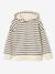 Gestreepte jongenssweater met capuchon marineblauw - vertbaudet enfant 