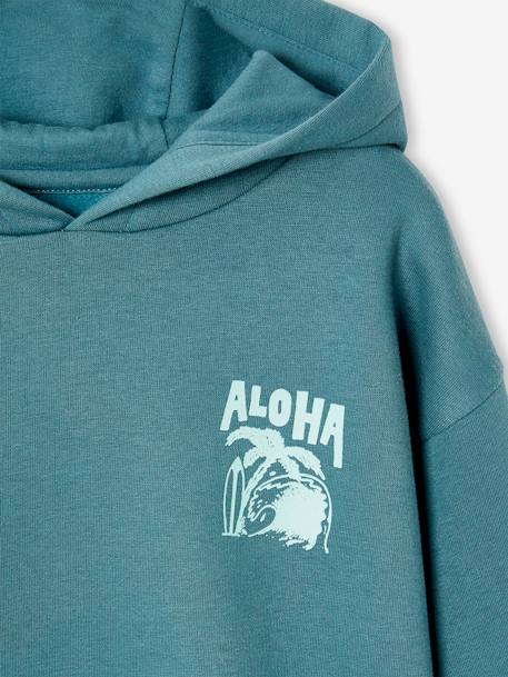 Sweat garçon à capuche motif poitrine bleu pétrole+vert sauge - vertbaudet enfant 