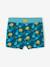 Maillot de bain garçon imprimé tropical vert sapin - vertbaudet enfant 