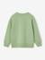 Jongenssweater met motief op de borst groen+pistache+rood - vertbaudet enfant 